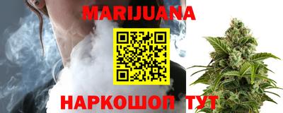 мяу мяу мука Кандалакша